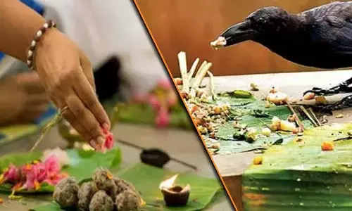 Pitru Paksha 2024: 7 Auspicious Signs That Show Ancestors Are Pleased