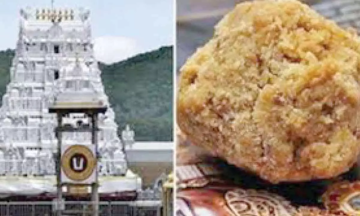 Sudden decline of pilgrims seen from State for Tirupati trip