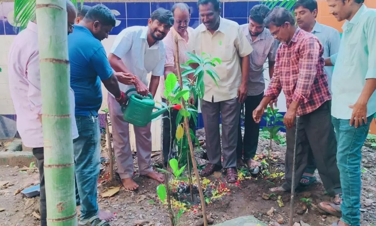 Hairstylist Malluvalasa Radha Krishna planting saplings at the GVMC High School, RP Peta in Visakhapatnam