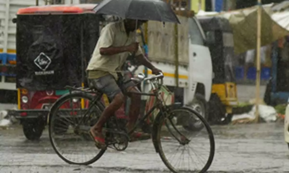 Rain brings brief respite from scorching heat in Assam