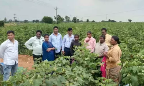 Special Action Plan for Re-enrolling Dropout Students into Schools as per the District Collectors Orders