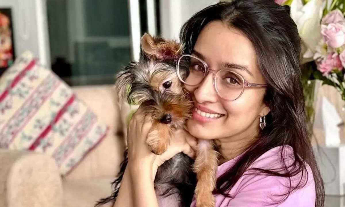 Shraddha Kapoor welcomes baby ‘Stree’ at her home