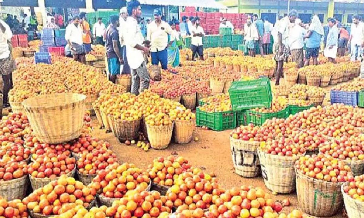 Tomatoes get remunerative price at Pathikonda market