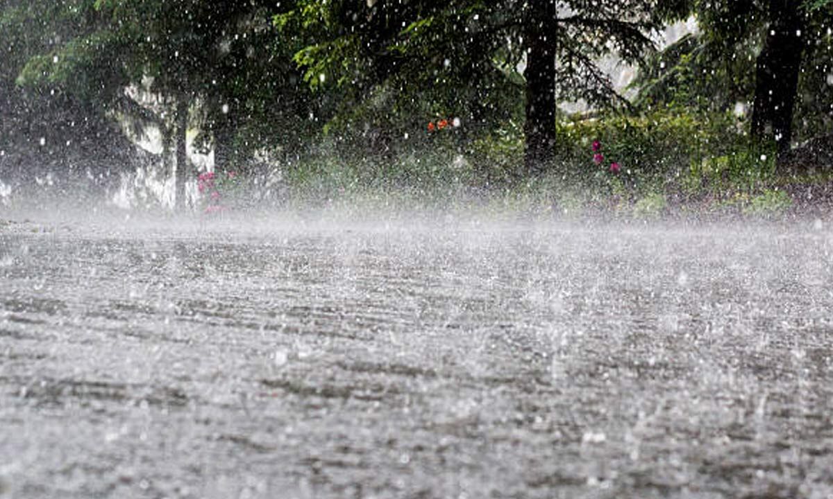 Heavy Rain Forecast To Ap State Govt Takes Preemptive Measures