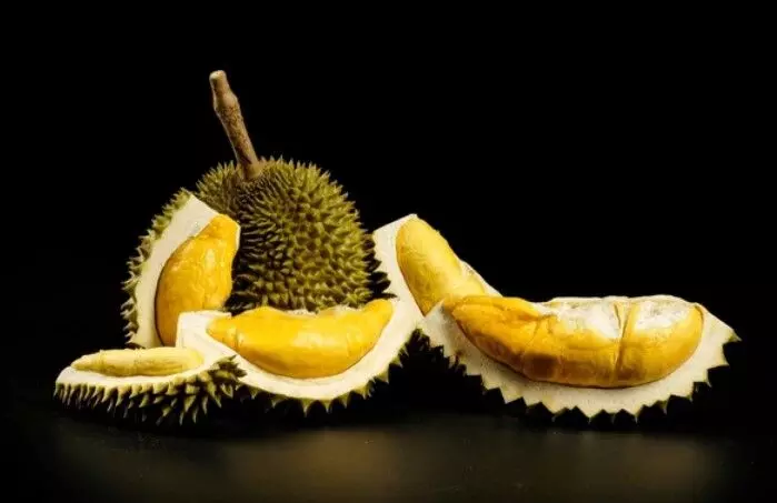 The Rising Popularity of Black Thorn Durian in Malaysia