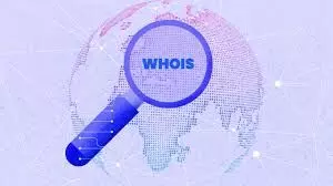 WHOIS database: A new lead generation buzz for 2025