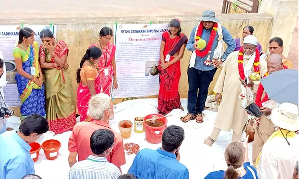 Mali team visits natural farming fields in YSR dist