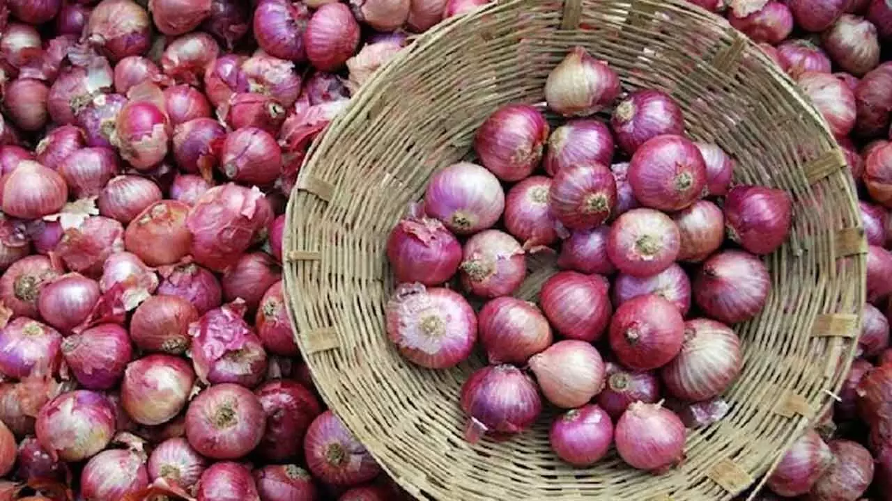 Govt steps up sale of fair price onion