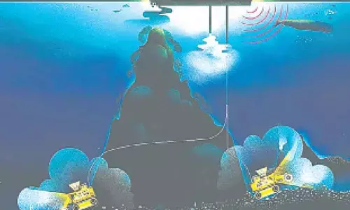 ‘Irreversible Harm’: Norwegian deep-sea mining  threatens Arctic biodiversity