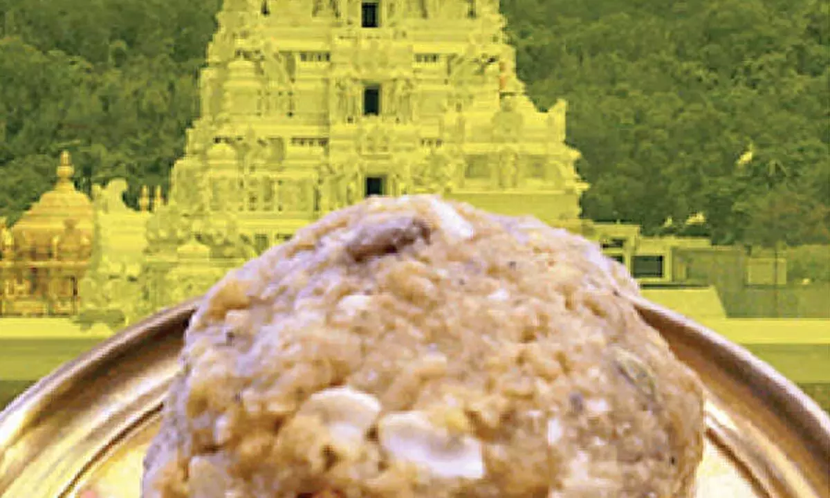 TTD Complains of Adulteration in Laddu Prasadam Amid Ongoing Investigations