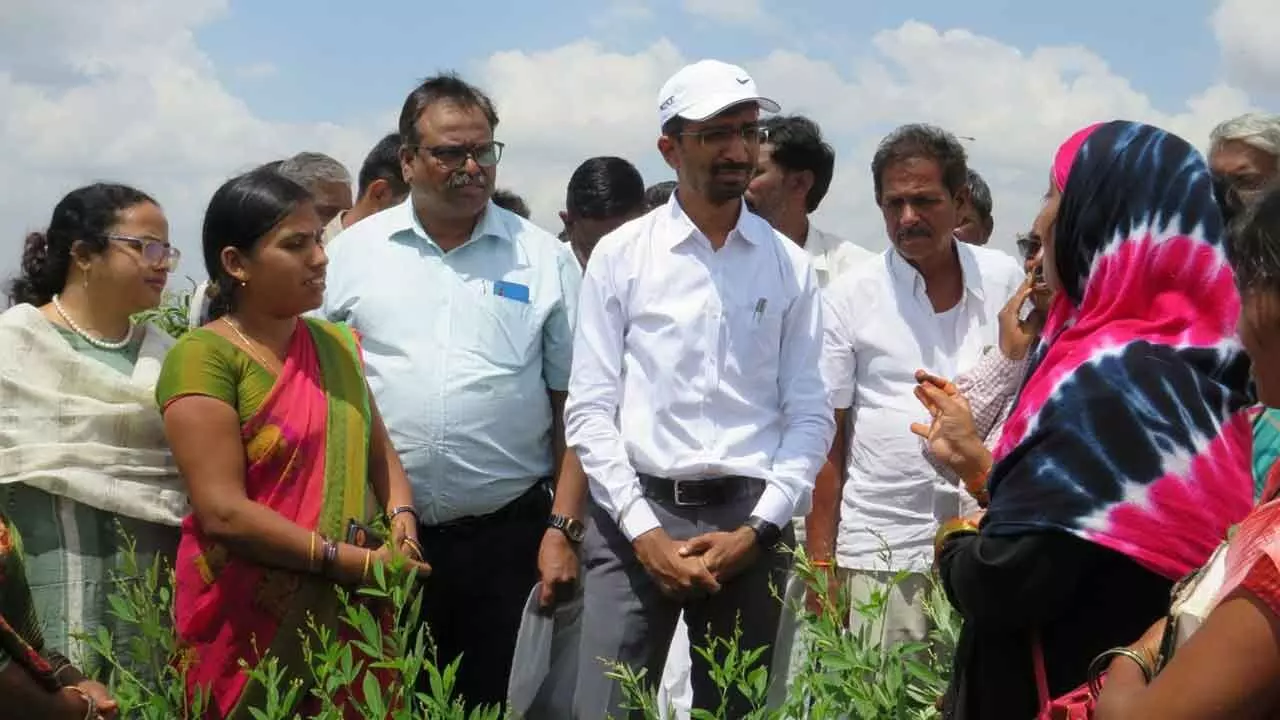 Anantapur dist promoting natural farming in a big way