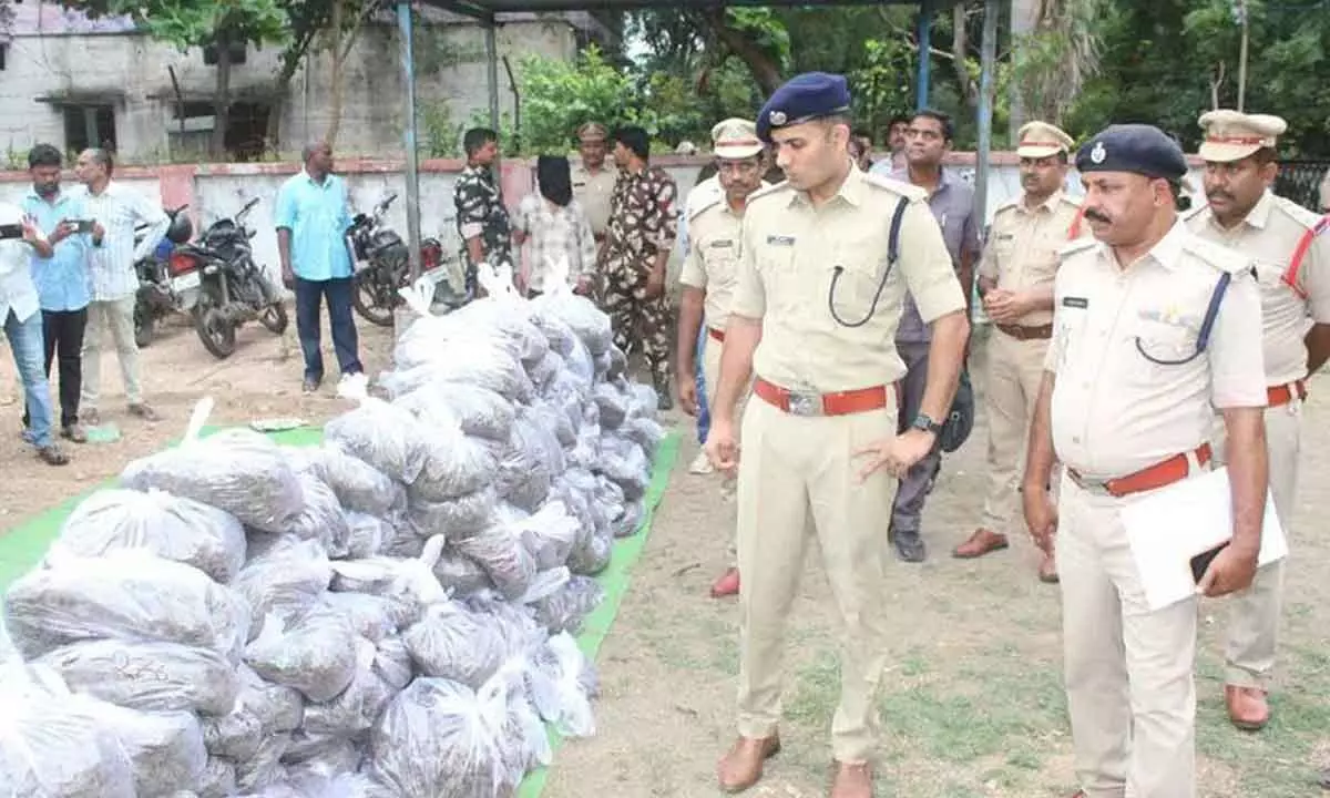 900 Kg of Ganja Seized in Adilabad, Police Arrest Two