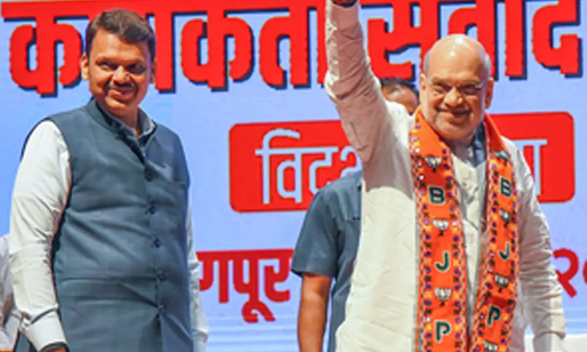 Work with resolve for MahaYuti’s victory in Maha poll: Amit Shah