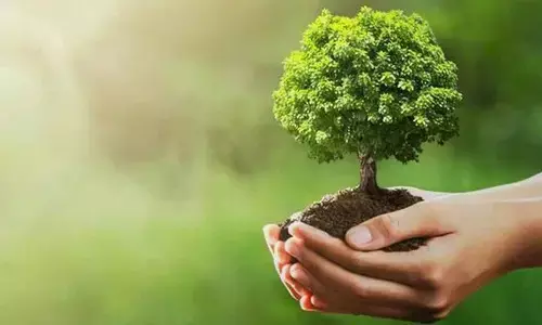 Today is World Environmental Health Day:  A call to action for a sustainable future