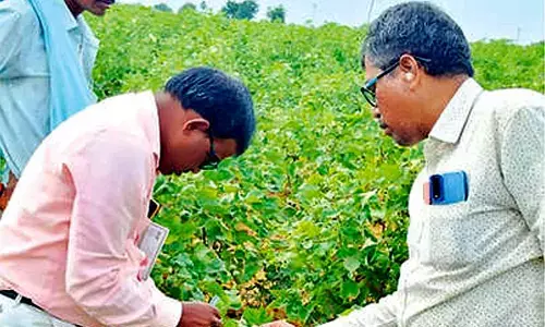 Scientists address farmers’ concerns