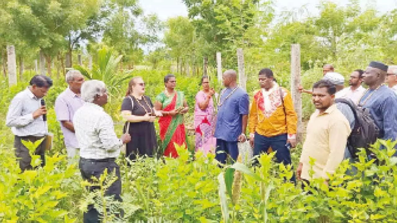 Mali team during field visit at Vemuru village on Thursday