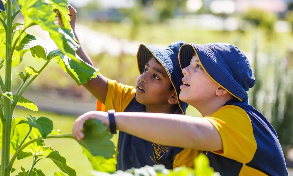 The need for active teaching of green issues in universities