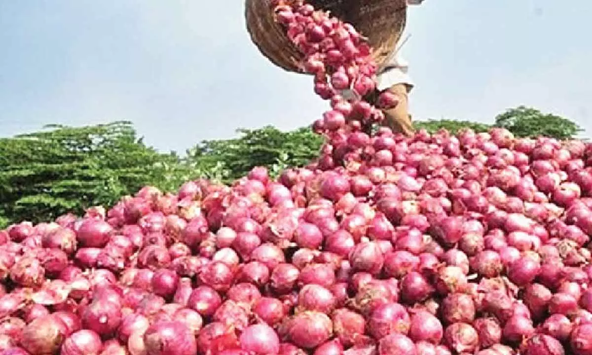 Onion sold at `35 per kilo in Bengaluru