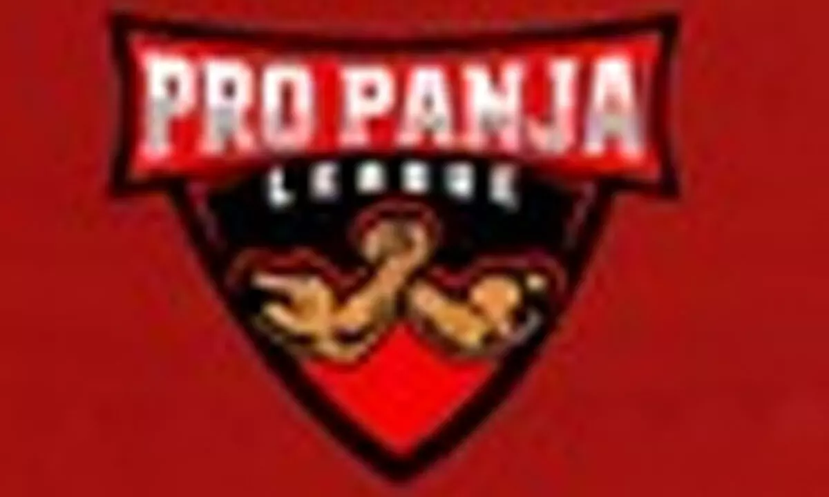 Pro Panja League season 2 postponed following co-founders accident