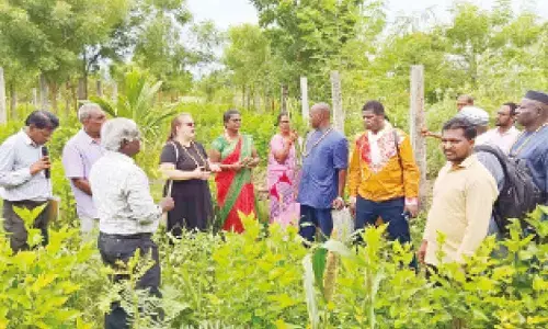 Mali team during field visit at Vemuru village on Thursday
