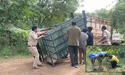 Rajamahendravaram: Drones deployed to trace leopard at Kadiyam nurseries