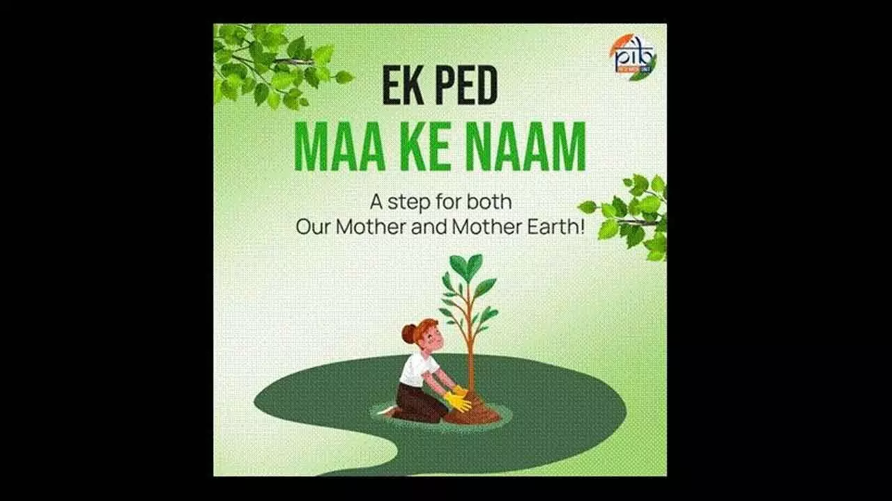 ‘Ek Ped Maa Ke Naam’: Vision For Greener Future