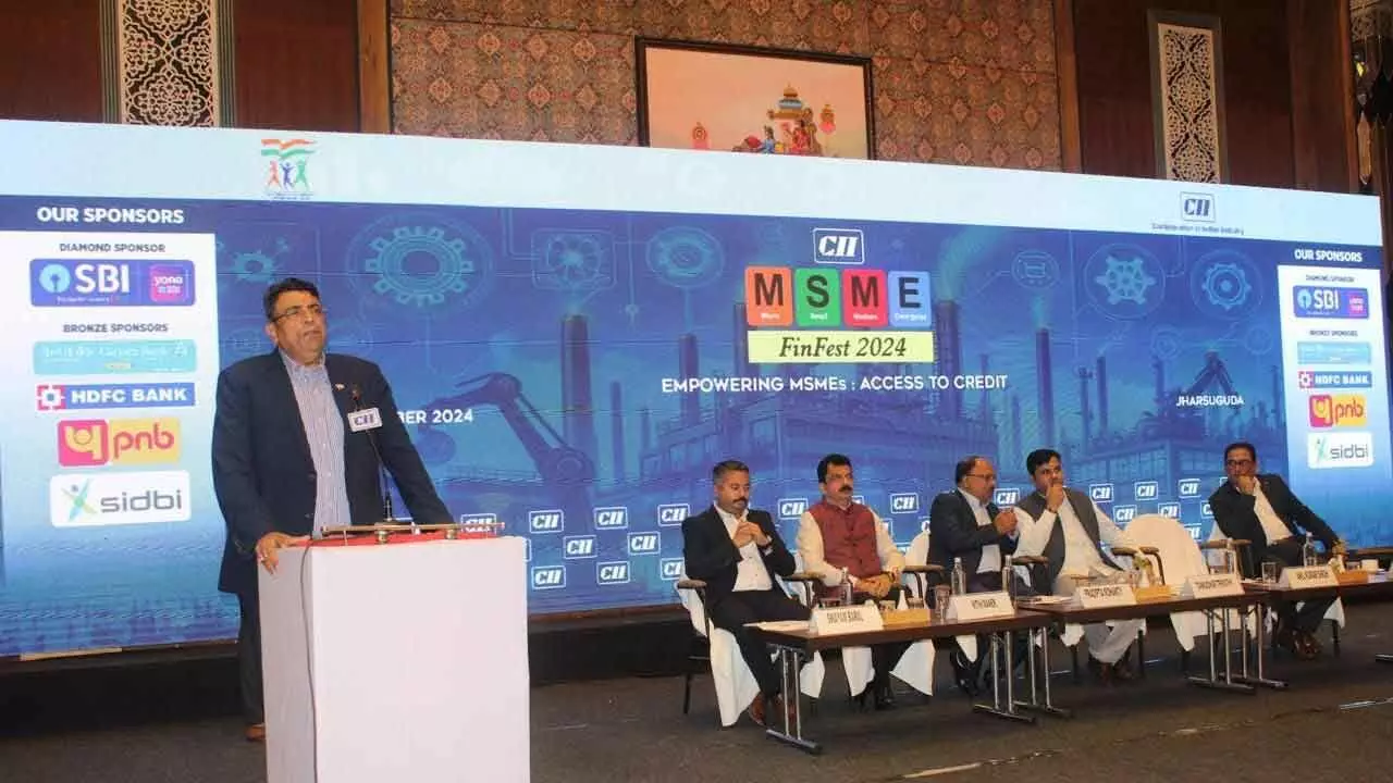 CII  MSME FinFest held in Jharsuguda