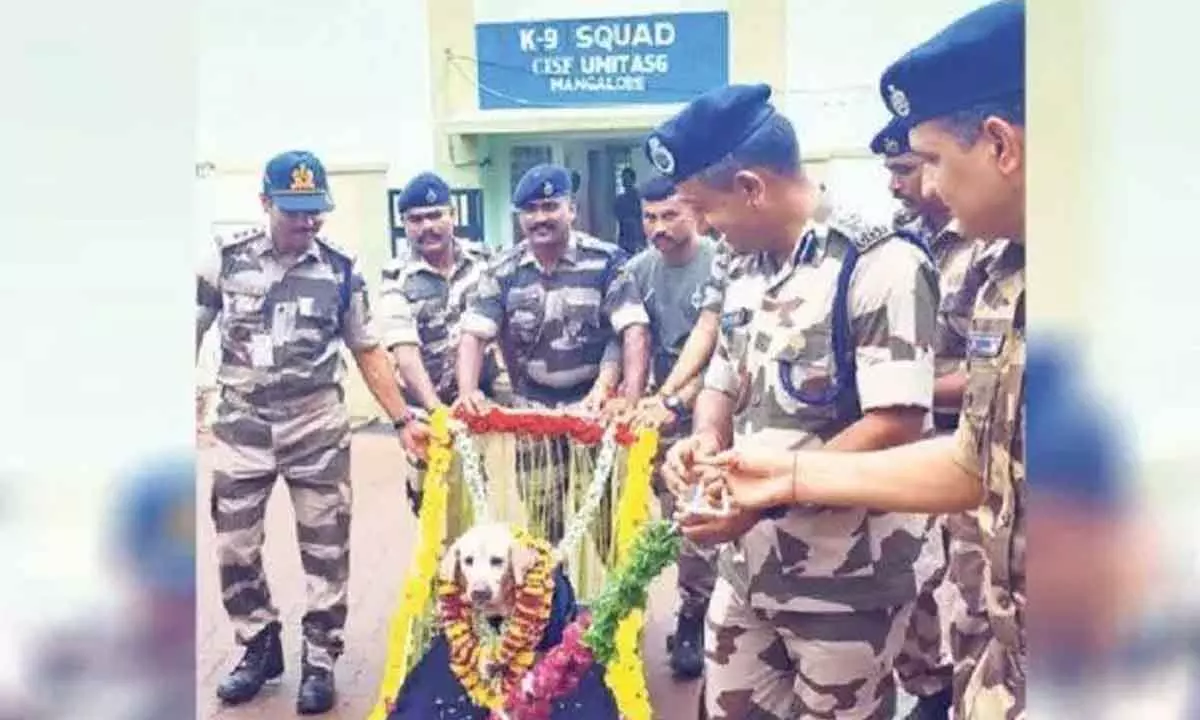 Dog Who Served 8 Years at Mangaluru Airport Retires