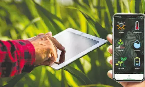 Staff crunch causes delay in Digital Crop Survey in State