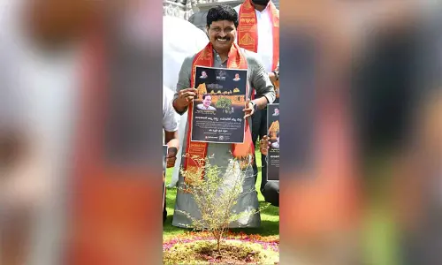 Distribution of Jammi Chettu saplings launched
