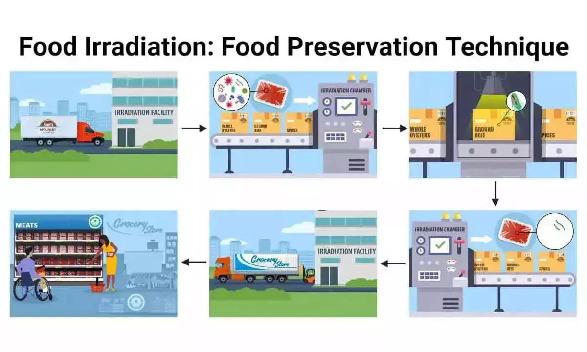 Preserving the shelf life of food without compromising on quality is the new world order