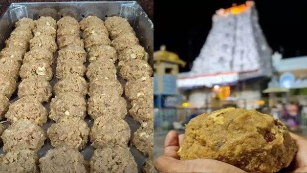 Tirupati laddu controversy: SIT chief forms three teams, says will probe the case thoroughly