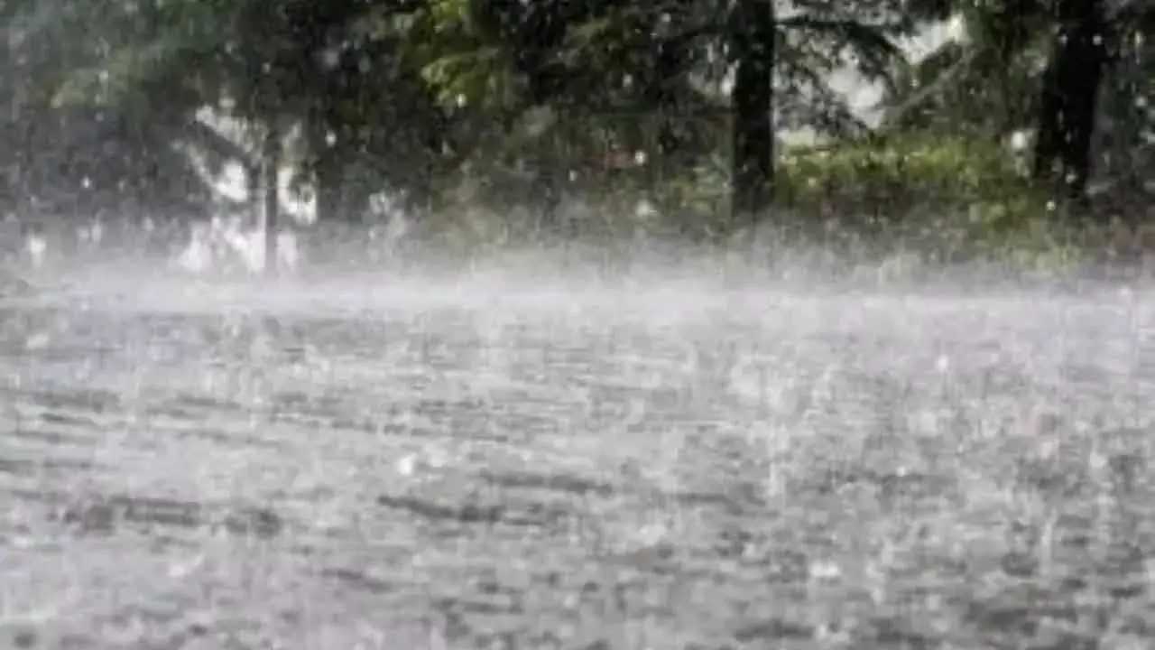 Heavy Rains Expected in Andhra Pradesh: Check Forecast for Next Three Days