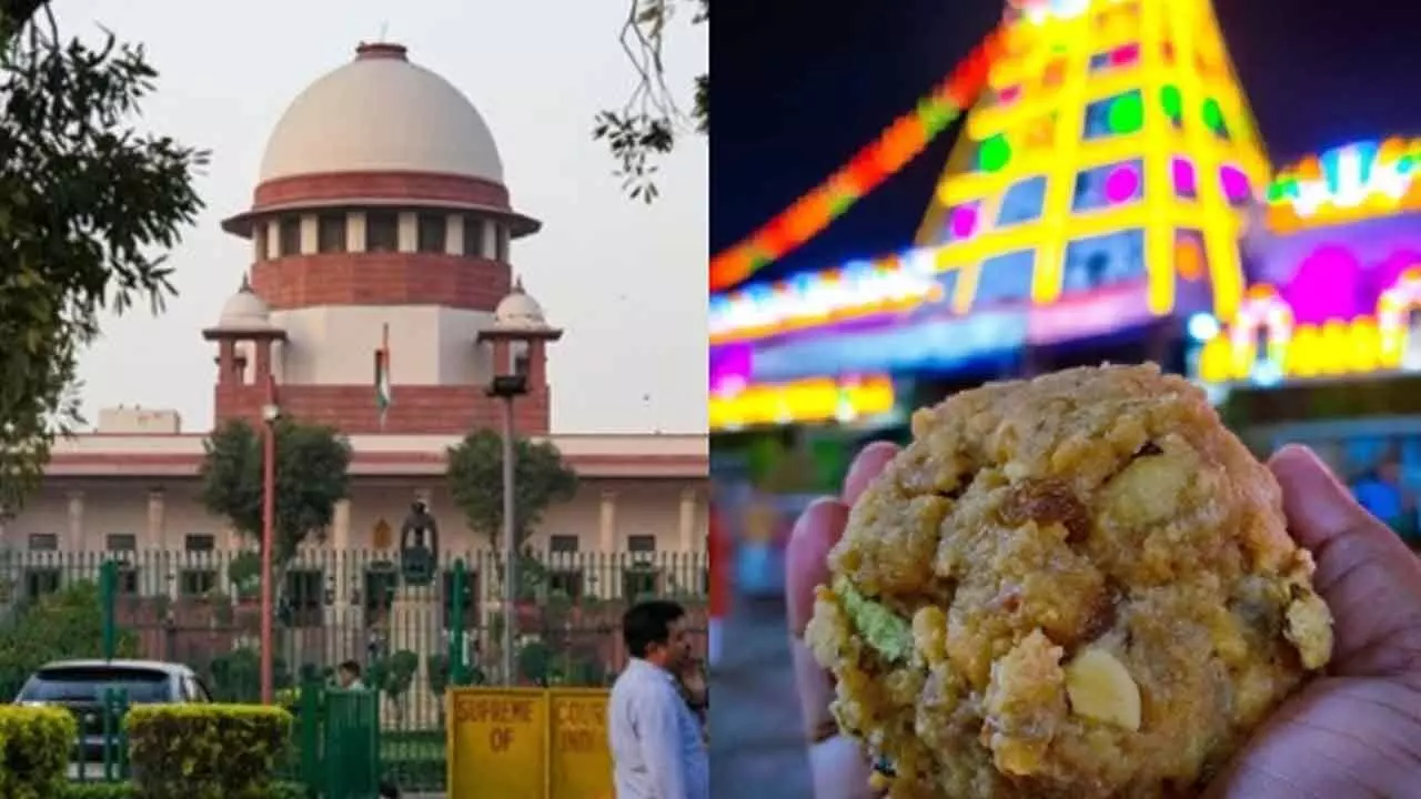 Keep gods out of politics: SC takes AP govt to task on Tirupati laddu row