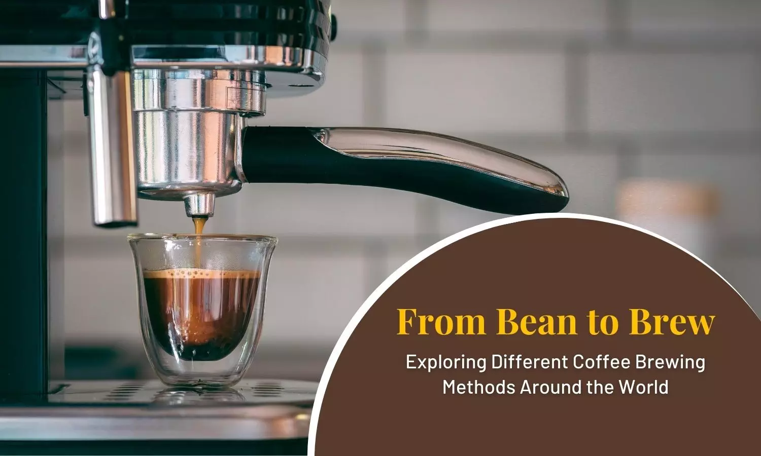 From Bean to Brew- Exploring Global Coffee Brewing Methods and Culture