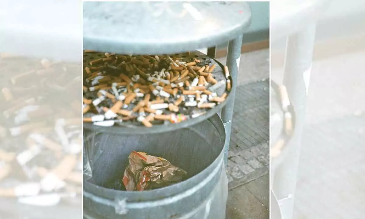 BBMP to install separate dust bins for cigarettes, beedi butts