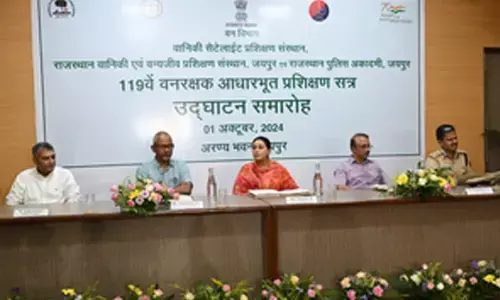 Green budget will be presented in Rajasthan from next year: Deputy CM