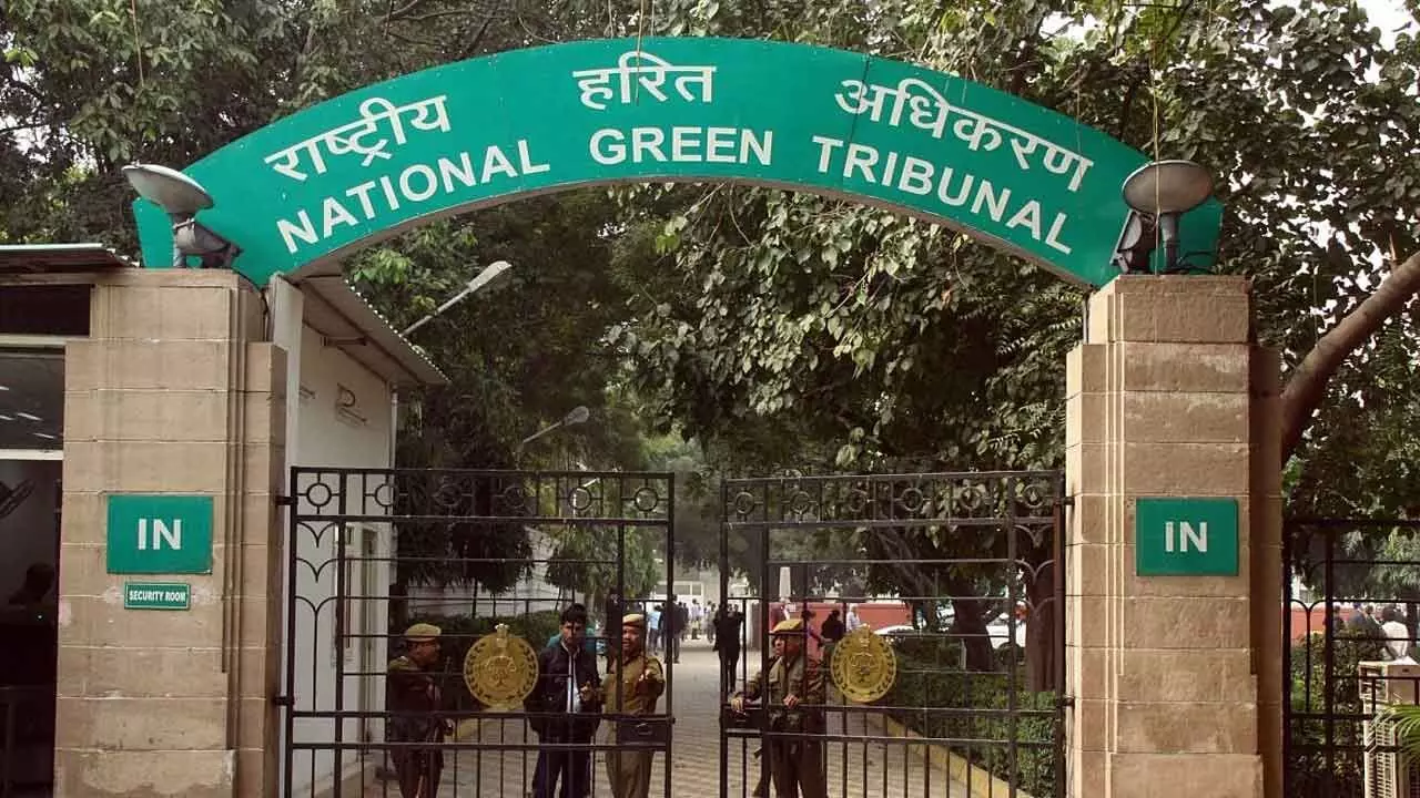 NGT issues notice to DJB over rising pollution in Delhi’s Machli Talab