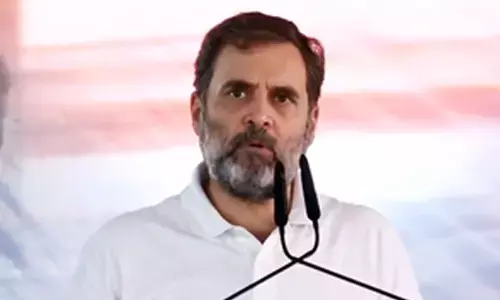 TN BJP wants ECI to ban Rahul Gandhi’s election campaign