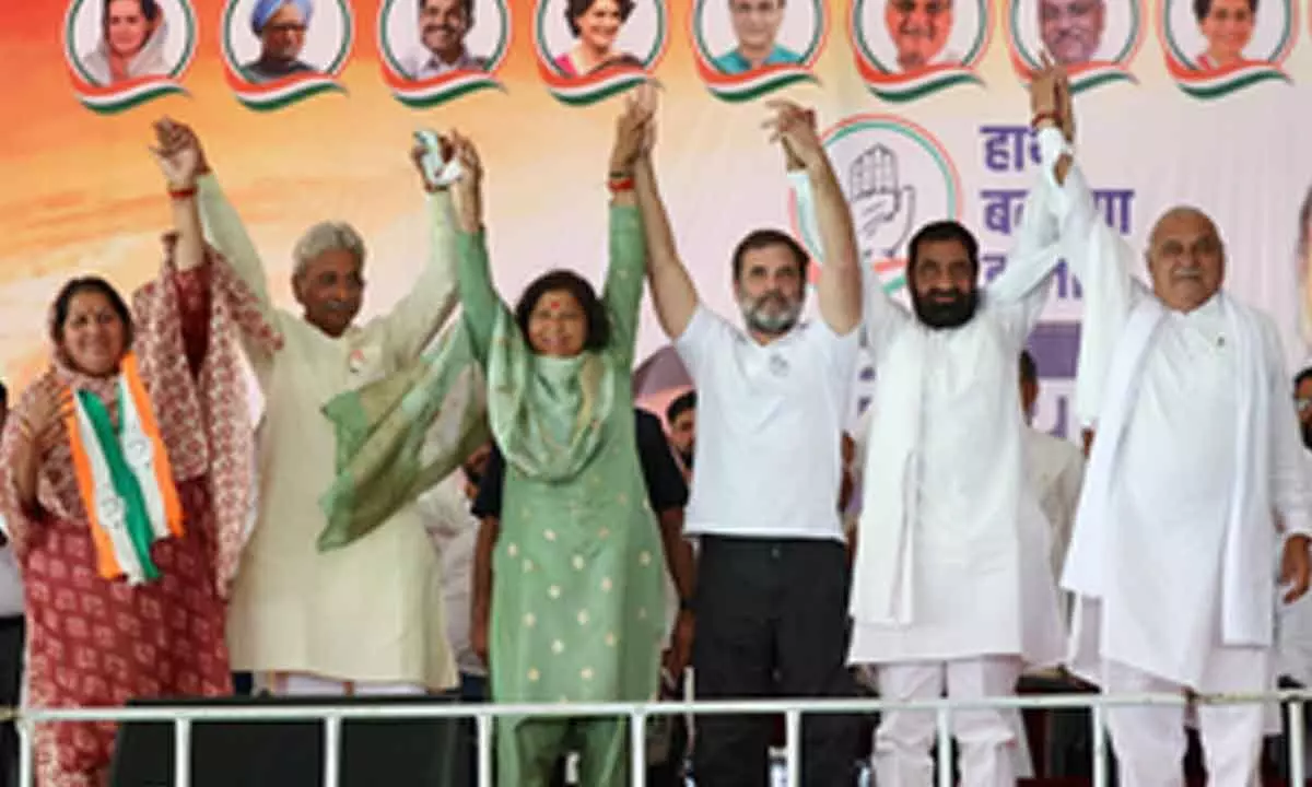 BJP has only given drugs, unemployment to Haryana: Rahul Gandhi