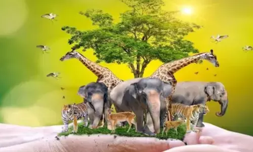 World Animal Day 2024: Theme, History, Significance, Quotes, and Fascinating Facts