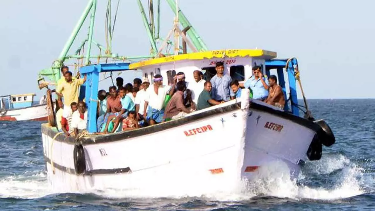 Sri Lanka frees 50 Indian fishermen