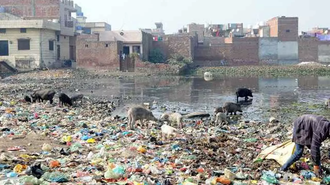 Why poor sanitation remains a common sight