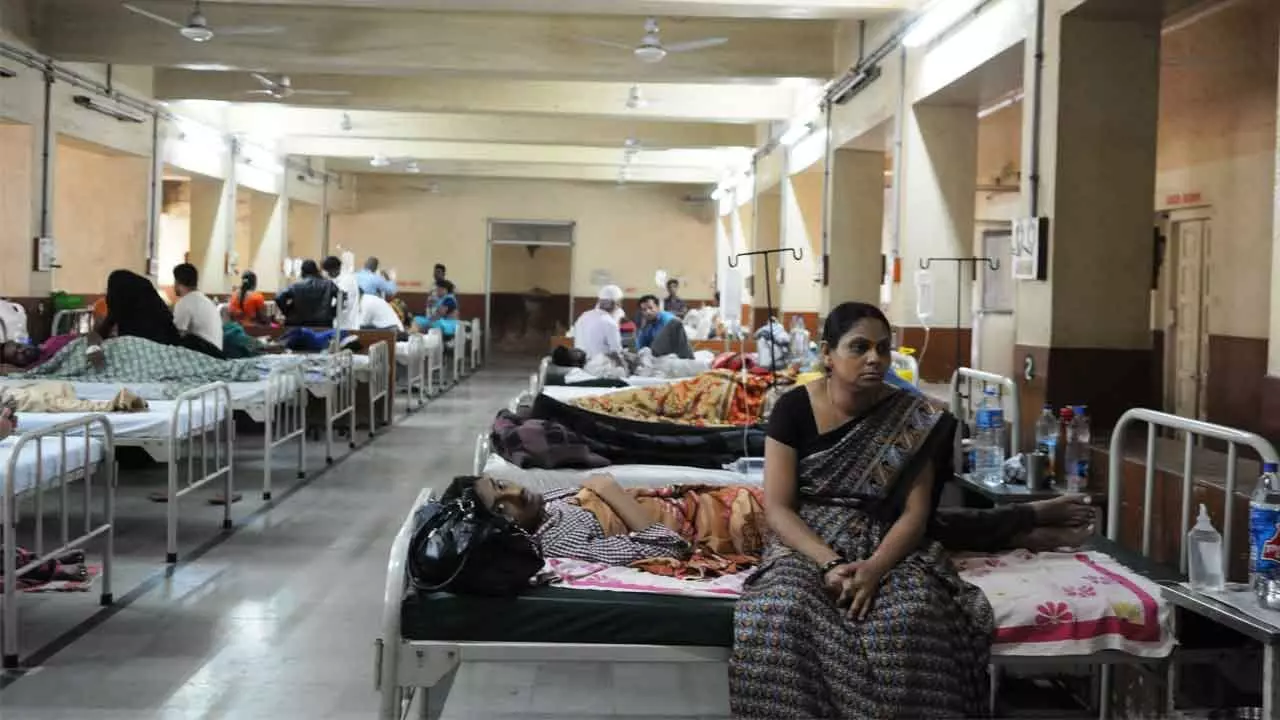 Telangana State dances with dengue as cases see sharp spike