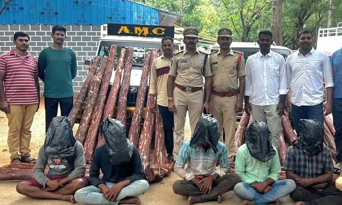 Task force personnel producing smugglers and red sanders logs before the media in Nellore on Friday