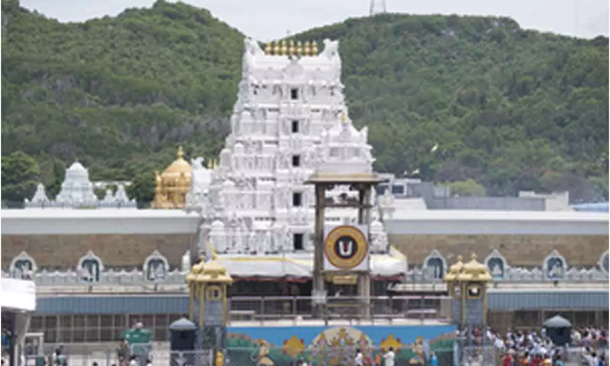 Ghee supplied for Tirupati laddus not made at TN dairy, reveals document