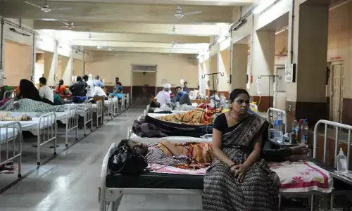 Telangana State dances with dengue as cases see sharp spike