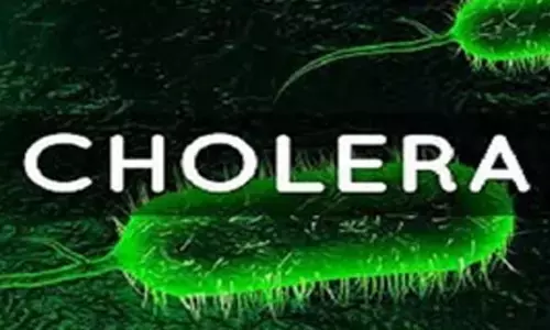 359 killed as suspected cholera cases exceed 10,000 in Nigeria