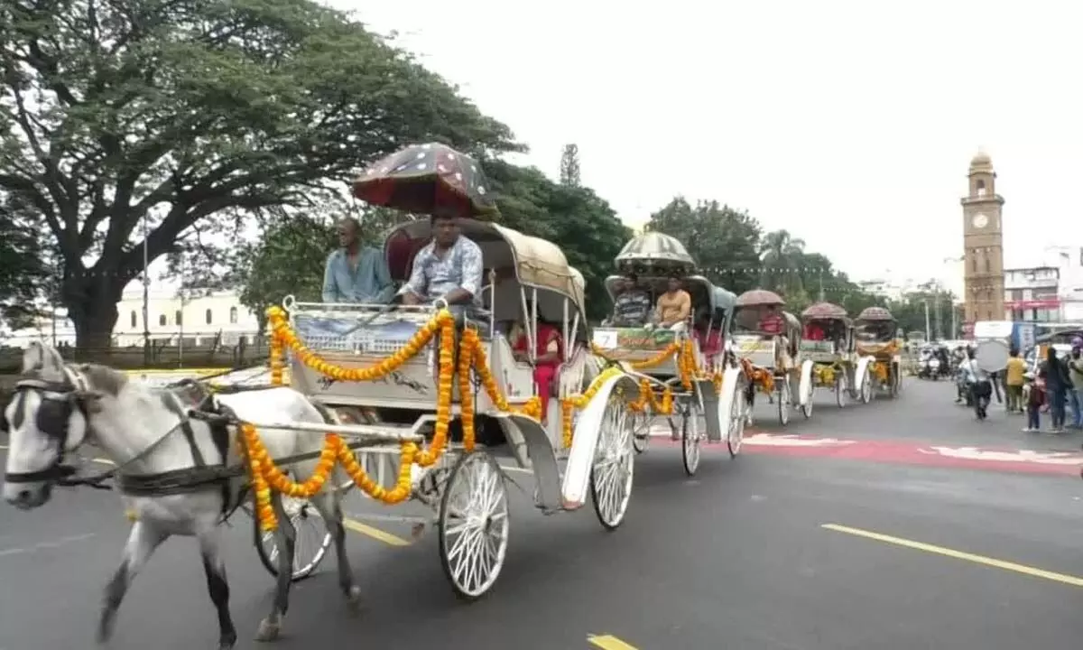 Traditional tonga ride enthralls tourists at Mysuru Dussehra