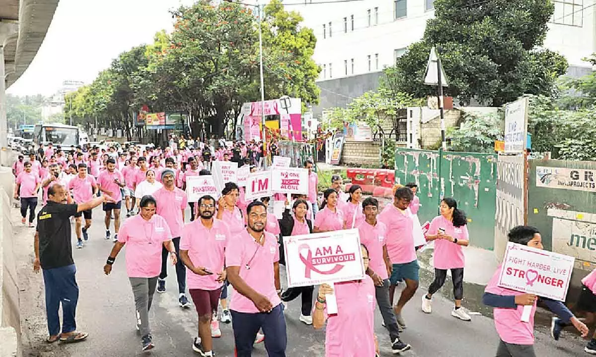 walkathon raises breast cancer awareness